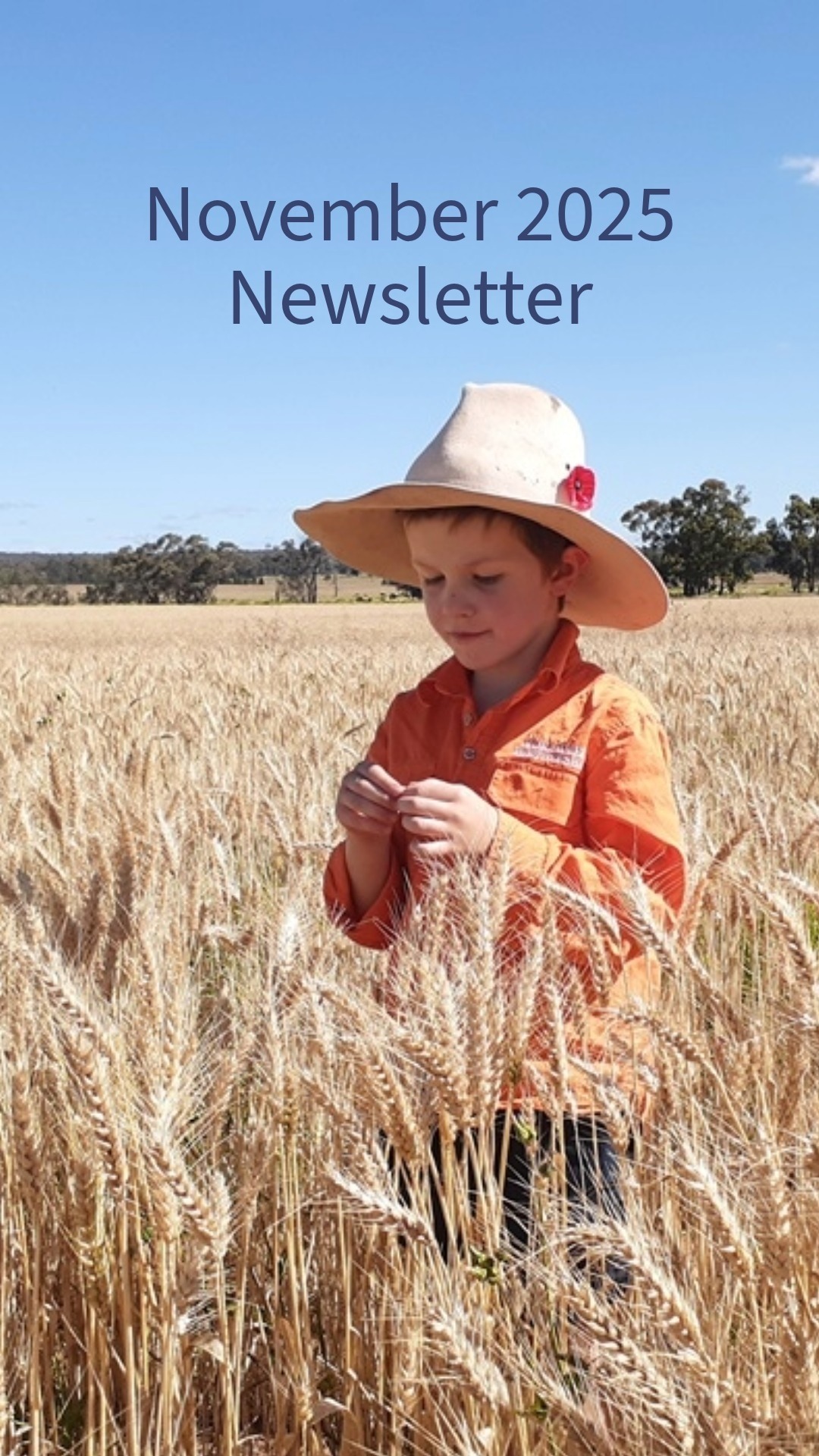 November 2025 Newsletter